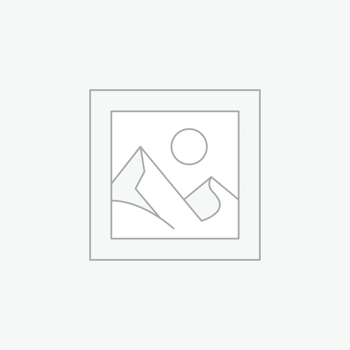 ЛОТКИ D04550 Д/ТЕСТОРАСКАТКИ ROLLMATIC R55